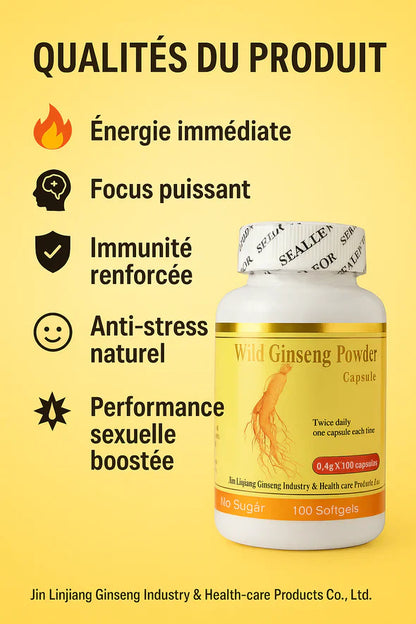 🌿 Wild Ginseng Powder Capsule – Énergie & Vitalité Naturelle
